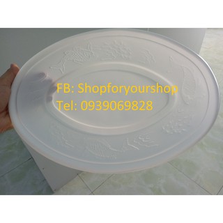 10 CÁI DĨA HỘT XOÀI DÙNG 1 LẦN