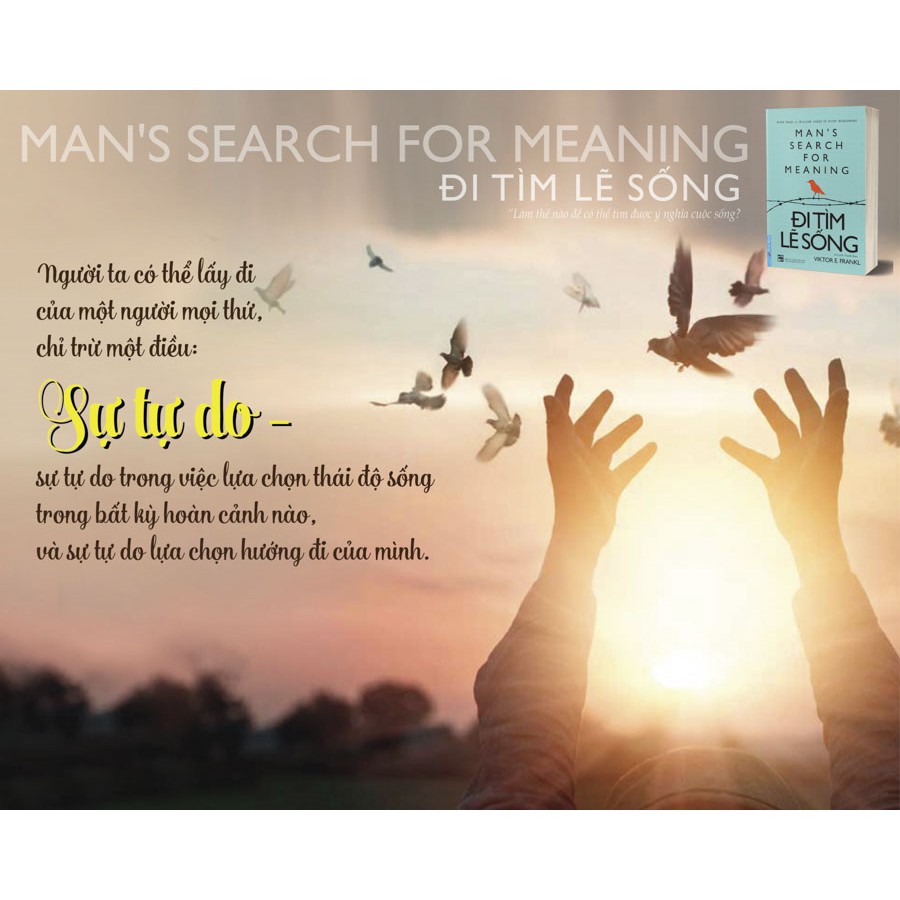 Sách Đi Tìm Lẽ Sống - First News  - FIN