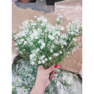 Hoa điểm cành giá rẻ