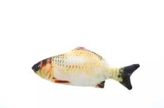 Cá sạc điện