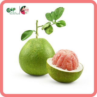 Bưởi da xanh loại 1 - cô gái bưởi hồng