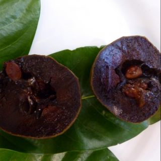 Cây hồng đen socola giống cây nhập khẩu