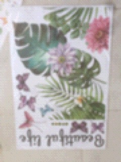 Decal tán lá nhiệt đới