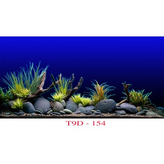 Tranh 3D bể cá mã T9D-154 kt (60,80,90,100,1m2,1m5,1m6)