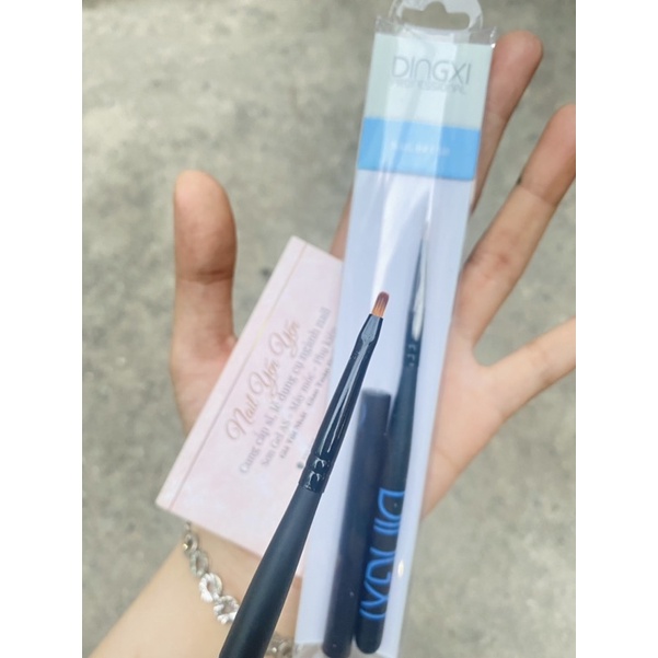 Cọ hoa cúc