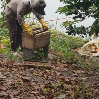Mật ong rừng nguyên chất