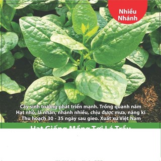 Hạt giống mồng tơi lá trầu 10gr