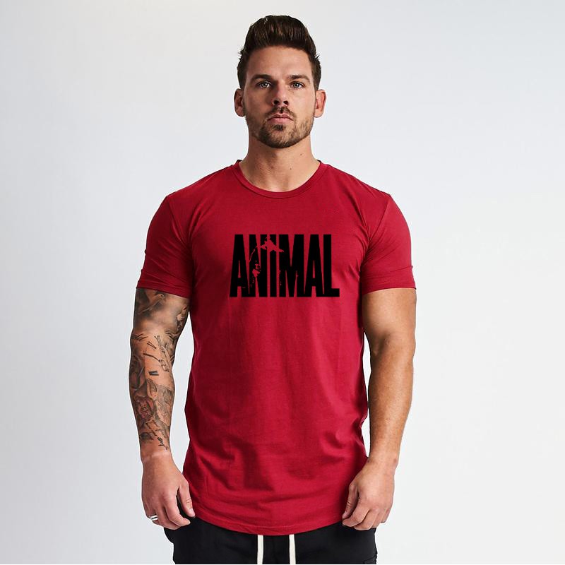 Áo thun ngắn tay in hình động vật cho nam