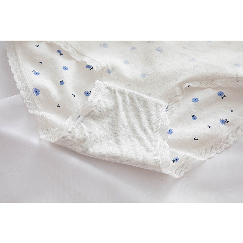 Quần Lót Nữ Cotton Dễ Thương Tông Xanh Cao Cấp Kháng Khuẩn Nhiều Họa Tiết Caro Kẻ Xinh Xắn 335