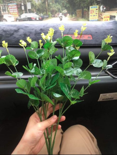Cành lá táo 16 nhánh cao 50cm🍎Cành Lá Gỉa - Cành điểm trang trí lọ, lẵng hoa