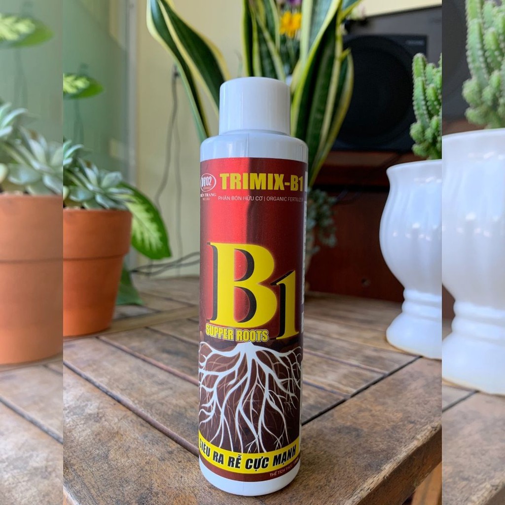 Ra rễ cực mạnh B1  Siêu kích rễ, Nở gốc, Bung chồi, Giâm Chiết cành 150ml