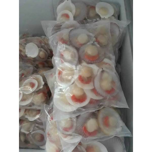 𝐒𝐎̀ Đ𝐈𝐄̣̂𝐏 𝐍𝐔̛̉𝐀 𝐌𝐀̉𝐍𝐇. 1kg. (giao hỏa tốc TPHCM)