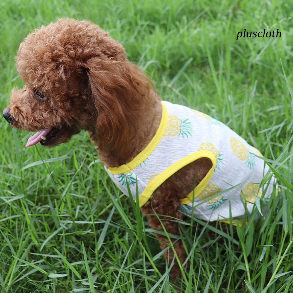 Áo Thun In Hình Dễ Thương Cho Thú Cưng