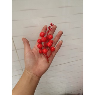 Chùm quả cherry đỏ có ngọn - 10 chùm