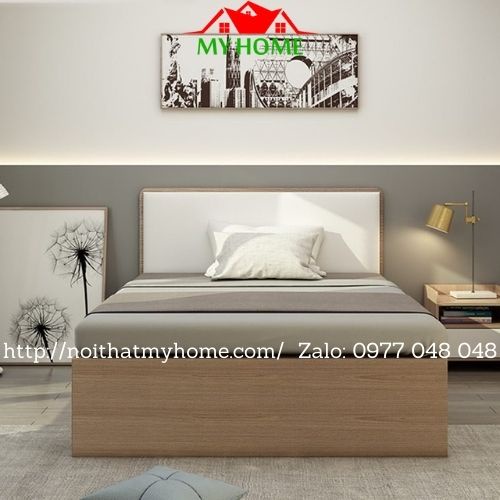 Giường Ngủ Nhựa Đài Loan CHINHUEI, ECOPLAST, VICOPLAST Dài 2m  GN10