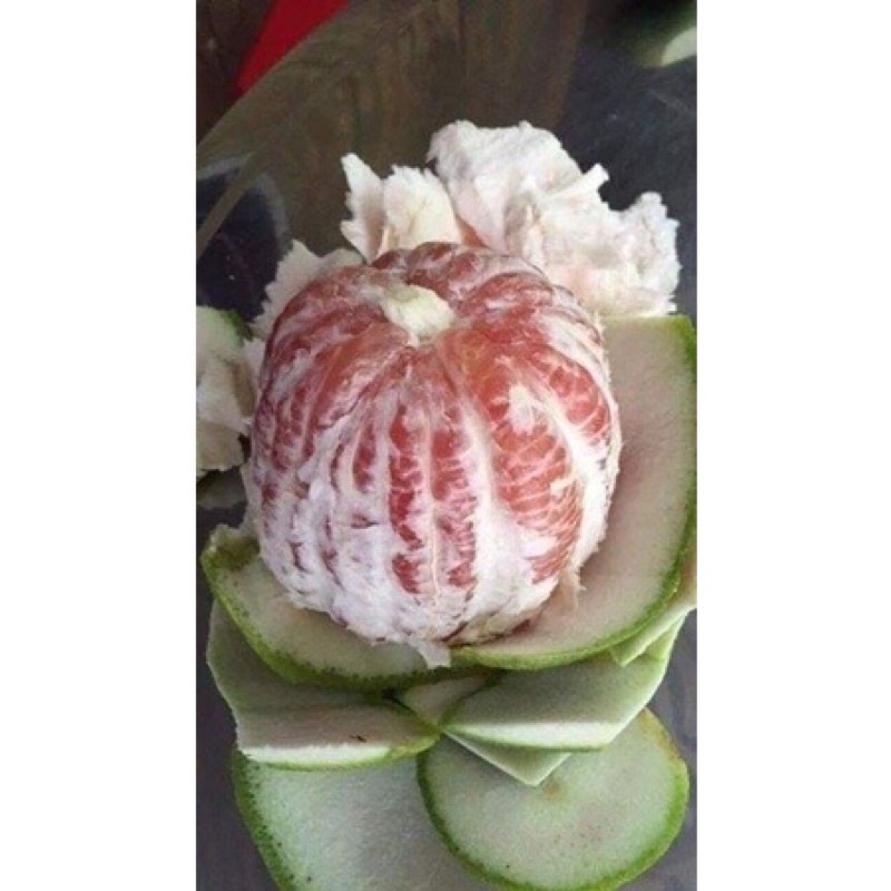 Bưởi da xanh ruột hồng