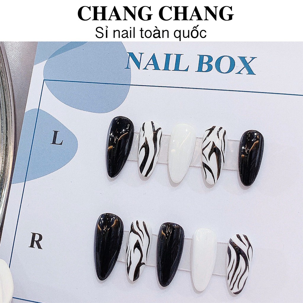 Nail Box thiết kế