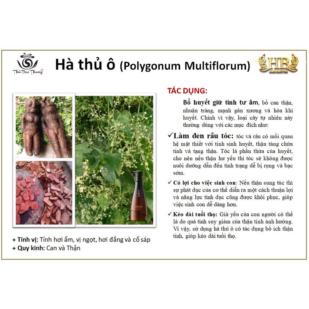 Dầu gội thảo dược Thủ Đạo Thang 300ML