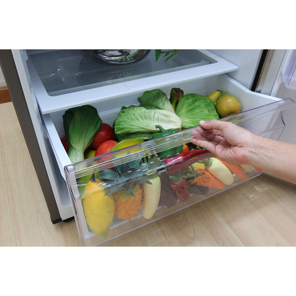 Tủ lạnh Samsung Inverter 380 lít RT38K5982SL