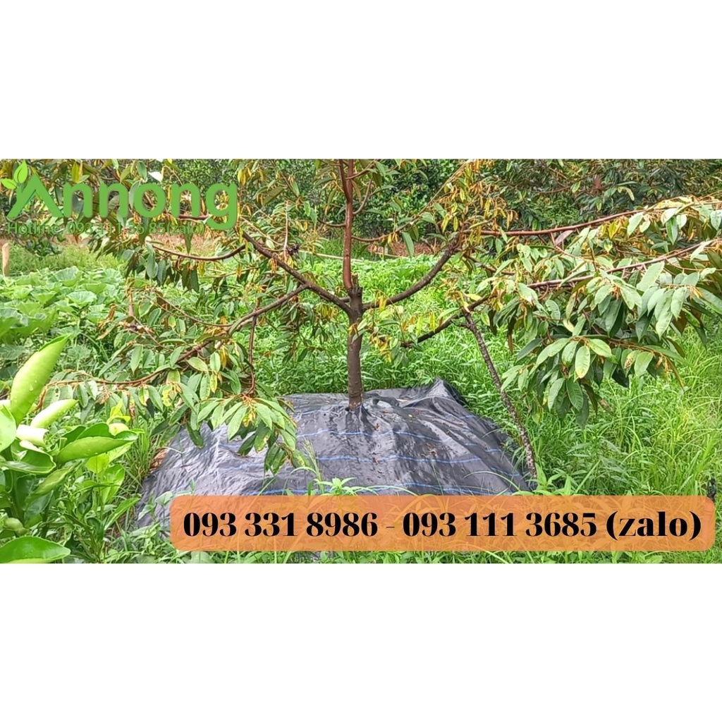 Tấm Bạt Phủ Gốc Cây Chống Cỏ Mọc 120g/m2 1.2m x 1.2m, Hàng Dày