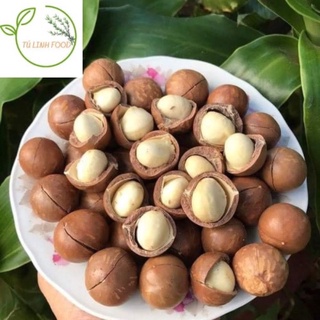 Mắc ca tây nguyên