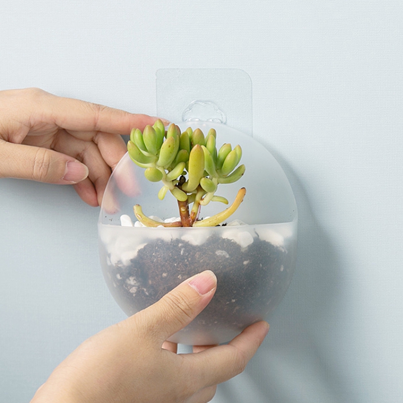 ❤Eva❤ Chậu trồng cây thủy sinh bằng nhựa có móc treo tiện dụng cho nhà cửa/ văn phòng