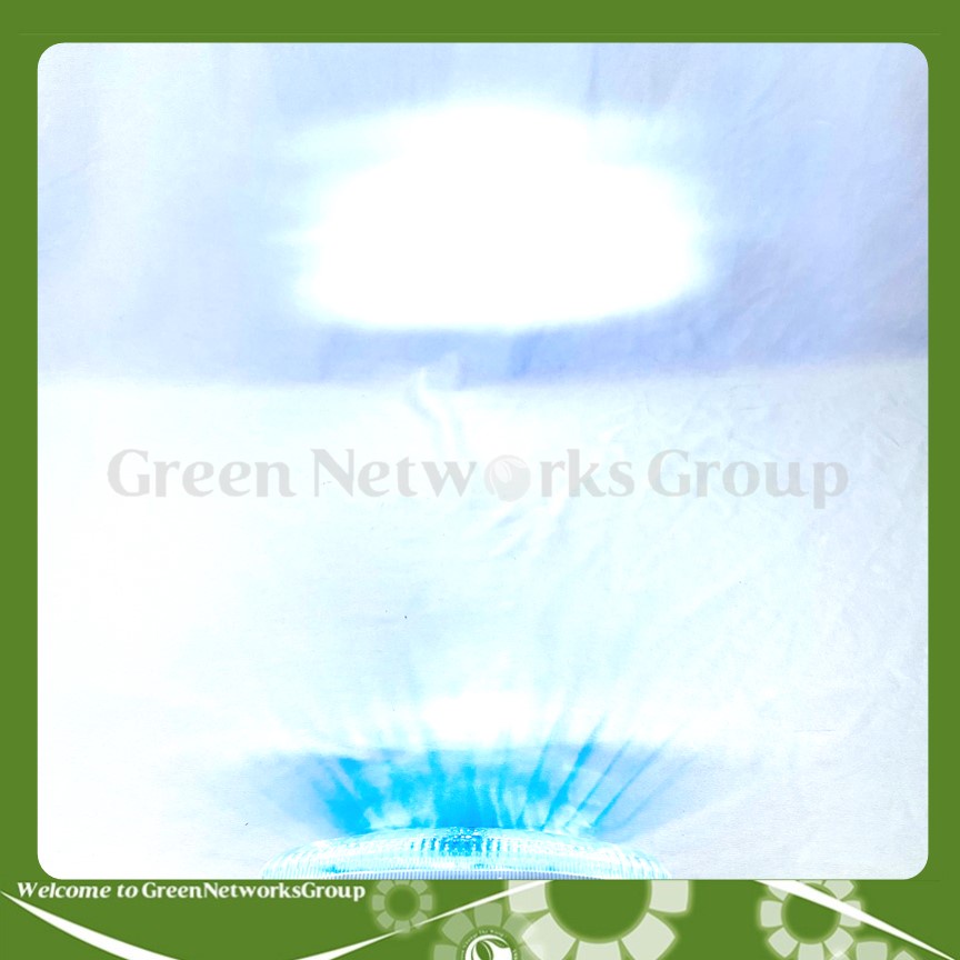 Đầu đèn LED dành cho Dream Lùn Greennetworks