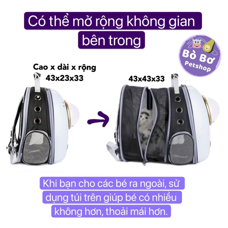 [SIÊU TO] Balo phi hành gia cho chó mèo