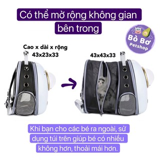 [SIÊU TO] Balo phi hành gia cho chó mèo