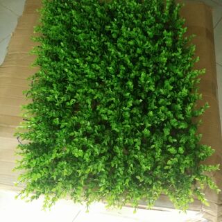 Combo 10 tấm cỏ tai chuột  . Cỏ treo tường. Cỏ trang trí