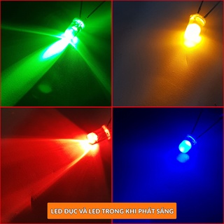 COMBO 50 Led đục 5mm