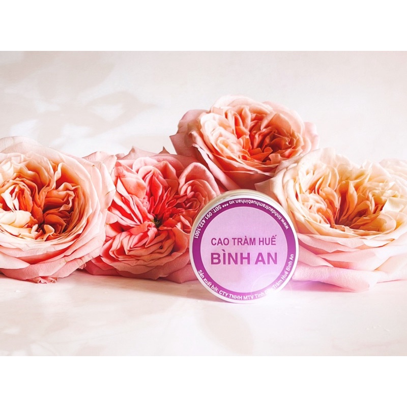 Cao Tràm Huế Bình An