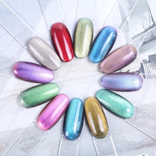 Set 12 chai Sơn gel 5D mắt mèo