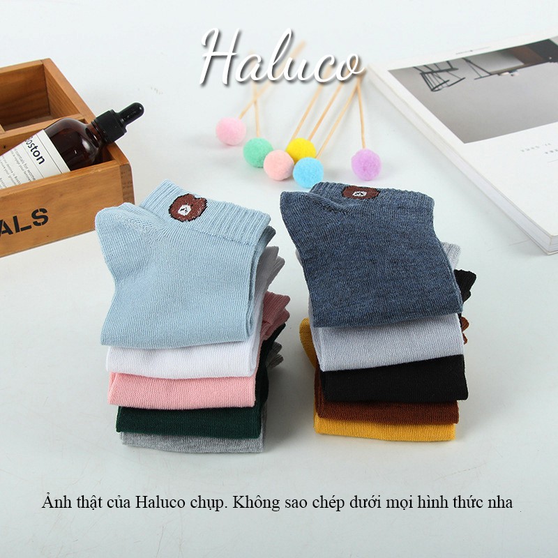 Tất gấu cổ ngắn Hàn Quốc,Tất nữ cổ ngắn xinh xắn Haluco accessories TN03