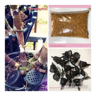 Combo- 500gr phân tan chậm hạt vàng + 50 rọ đựng phân tan chậm- chuyên dùng cho hoa lan và cây cảnh