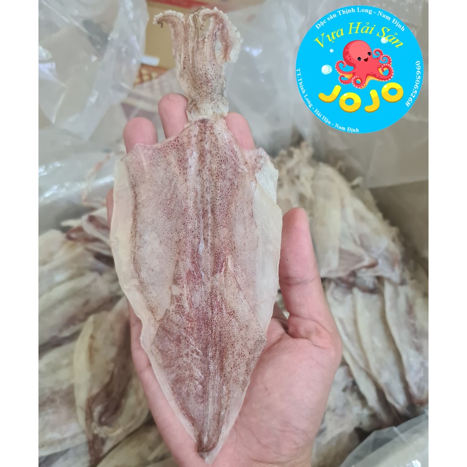 [FreeShip - Mua 20 tặng 1] Mực Khô Câu Thịnh Long To Bằng Bàn Tay Nhỏ, Khô Mực Ngon Ngọt - JoJo Seafood