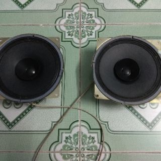 Loa toàn dải của Nga