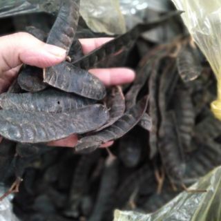 Bồ kết khô