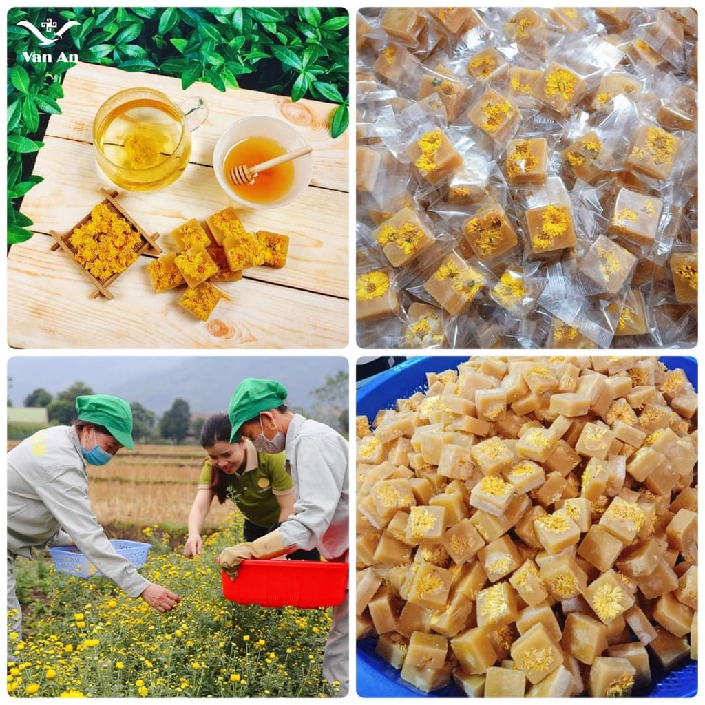 Trà Hoa cúc đường phèn mật ong Vạn An