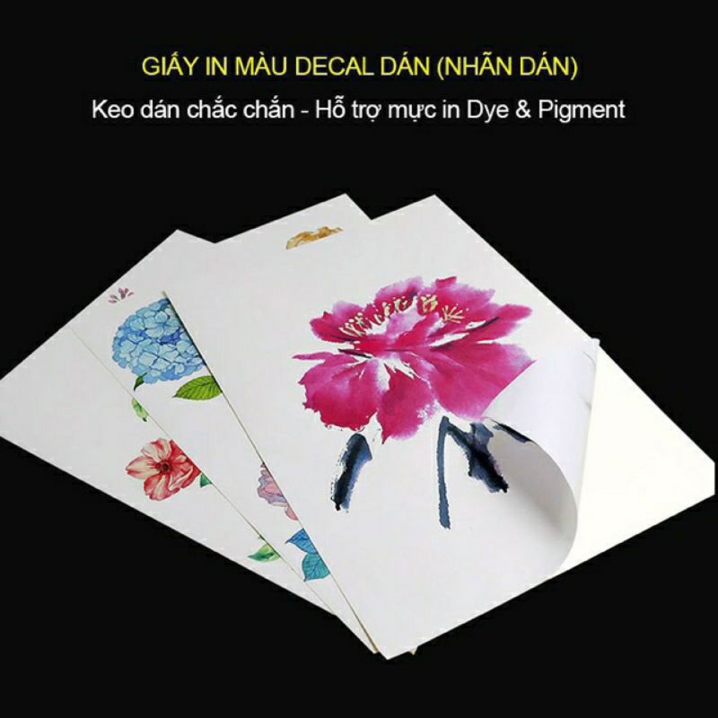 Giấy In Nhãn Dán ( Decal ) Parrot 1 Mặt Bóng A4 135gsm 50 Tờ