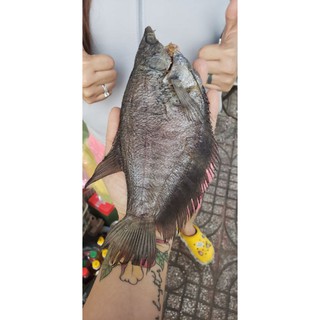 ❤🍀freeship🍀❤ 1kg khô sặc bổi cà mau