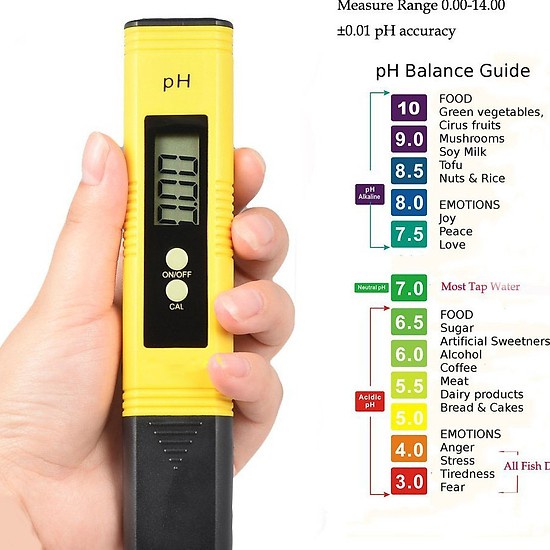 Bút Đo PH tặng kèm bột hiểu chỉnh