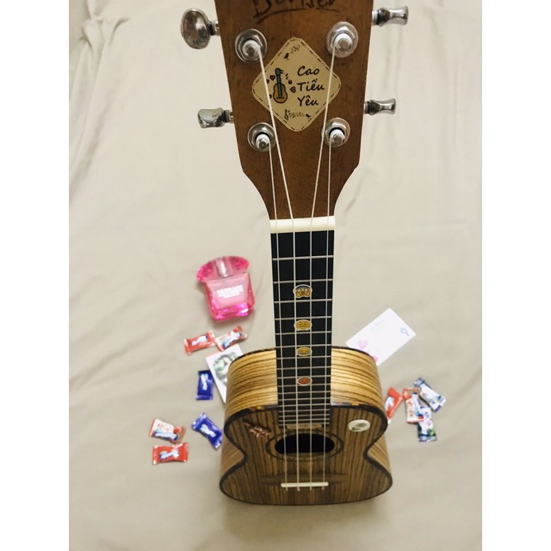 Đàn Ukulele size concert sọc xịn âm hay