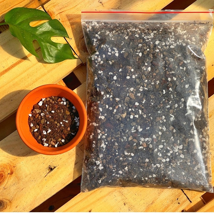 ĐẤT TRỒNG SEN ĐÁ, XƯƠNG RỒNG TRỘN SẴN SOIL MIX - GÁC MÁI SEN