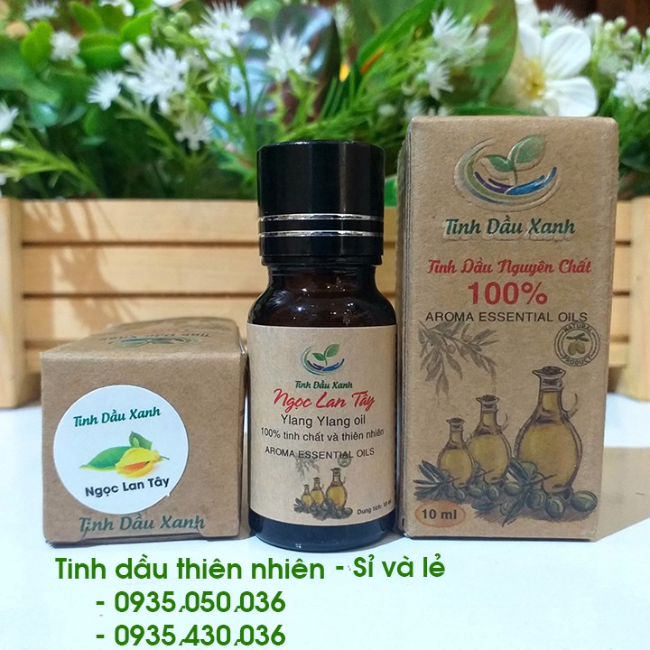 🌿Tinh dầu Tràm, Bưởi, Hoa Nhài, Trầm, Sả, Sả Chanh, Ngọc Lan Tây, Sen, Quế, Bạc Hà