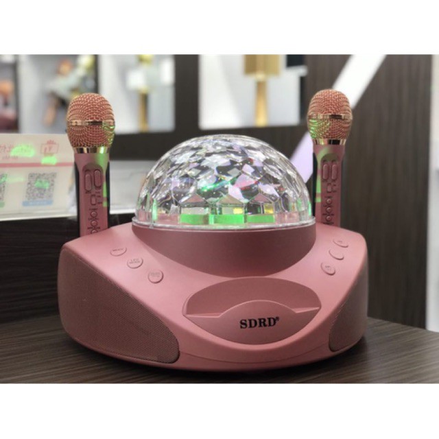 Loa Karaoke Bluetooth SDRD SD-308