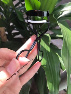 Bấm mi Celin