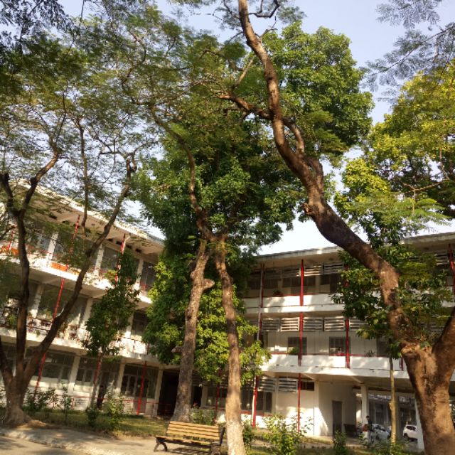 haki241