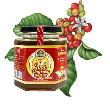 Combo 4 lọ mật ong FidiHoney hoa cafe (500gr/lọ) tặng 3 chai mật ong FidiHoney hoa rừng (470gr /chai)