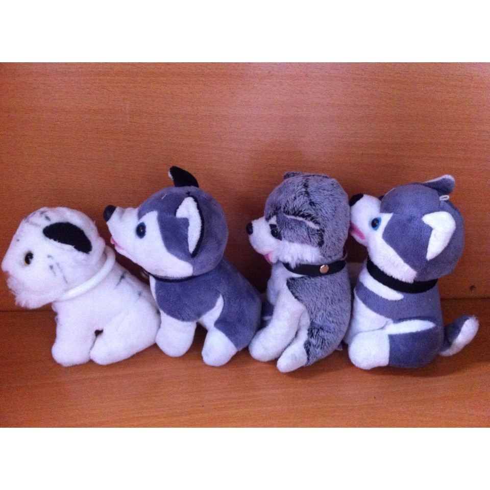 set chó Alaska và hổ trắng